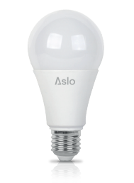 LAMPADA LED STANDARD A65 E27 15W